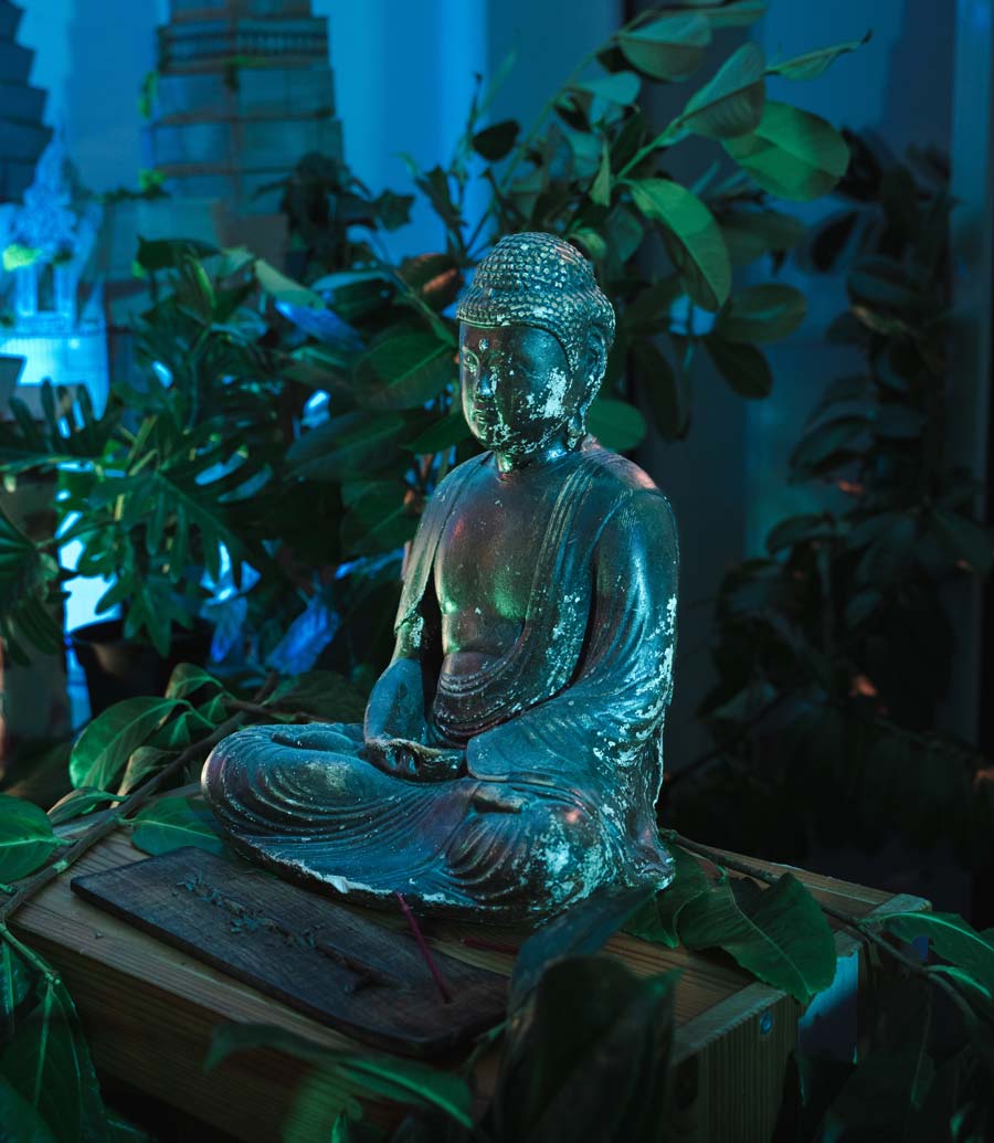 Statue de Bouddha dans le décor